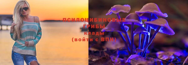 каннабис Дмитриев