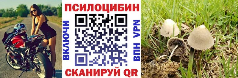 Галлюциногенные грибы GOLDEN TEACHER  где можно купить наркотик  Пенза 