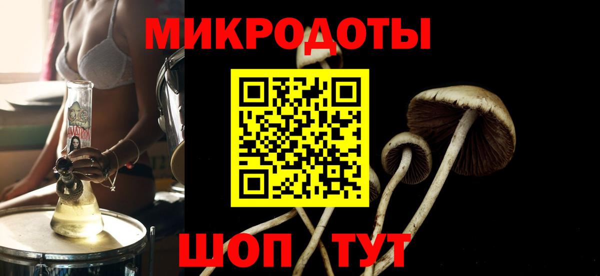 Галлюциногенные грибы Magic Shrooms  Галлюциногенные грибы Magic Shrooms  Вход с VPN  Пенза 